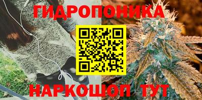 mdpv Гай