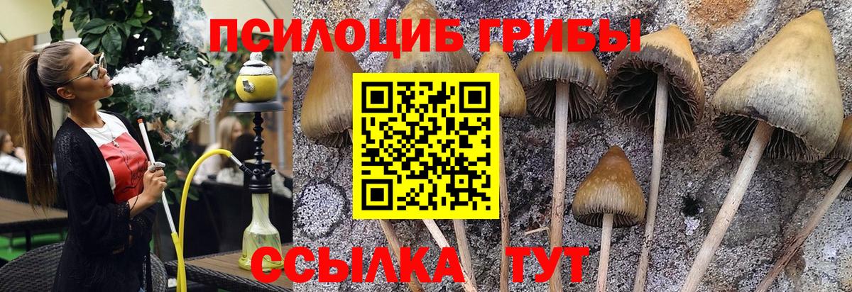 наркотики  Галлюциногенные грибы GOLDEN TEACHER  Вход с VPN  Осинники 